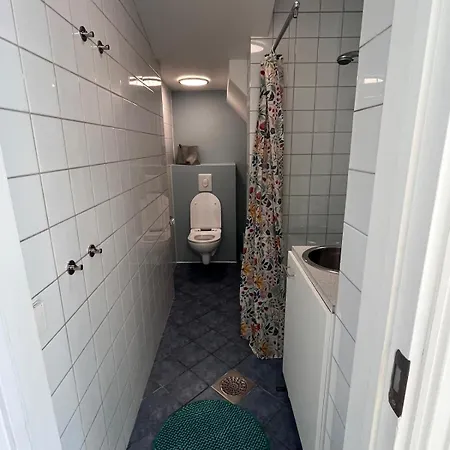 Cozy With Backyard And Close To Public Transport