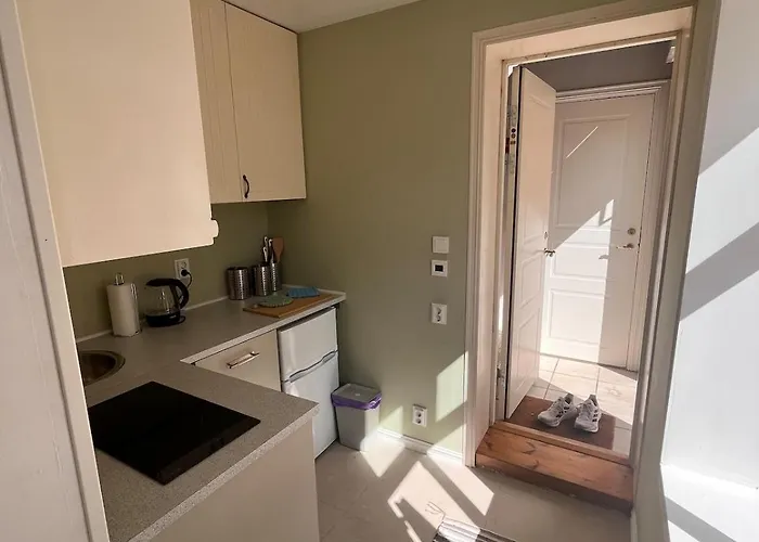 Apartamento Cozy With Backyard And Close To Public Transport Oslo